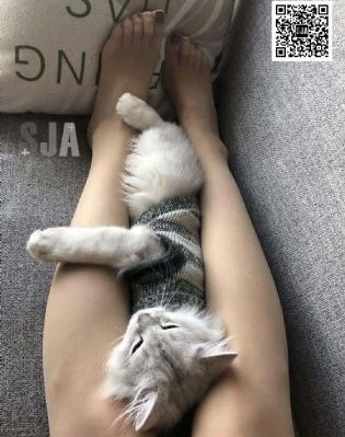 777精品出轨人妻国产_超清手机免费观看完整