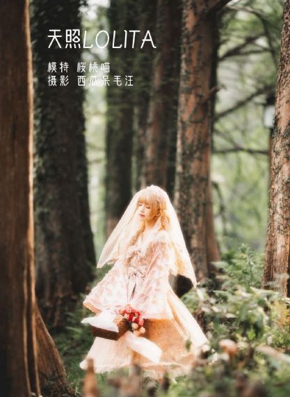 亚洲国产动作片_最近手机在线观看