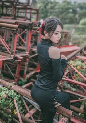 剧情介绍_1080手机在线观看